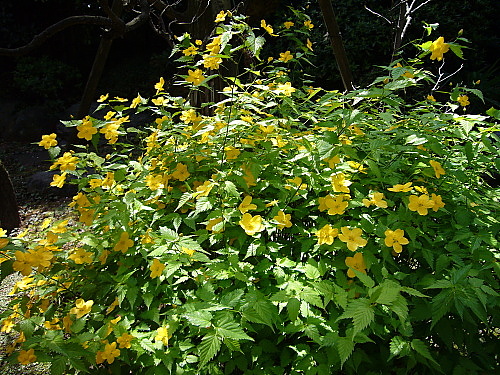b0114403_10202168.jpg