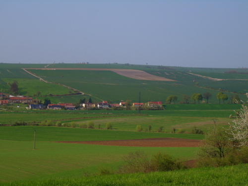 d0135907_5593458.jpg
