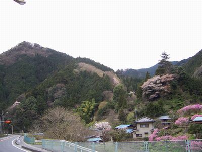 f0231309_8163778.jpg