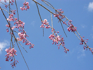 b0168412_21125638.jpg