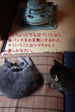 e0156015_116932.jpg