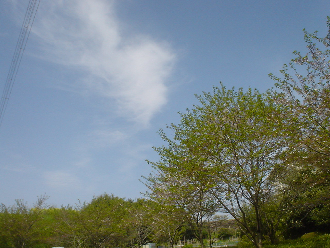 c0150520_22293341.jpg