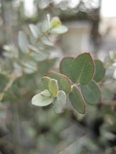 e0156222_0211137.jpg
