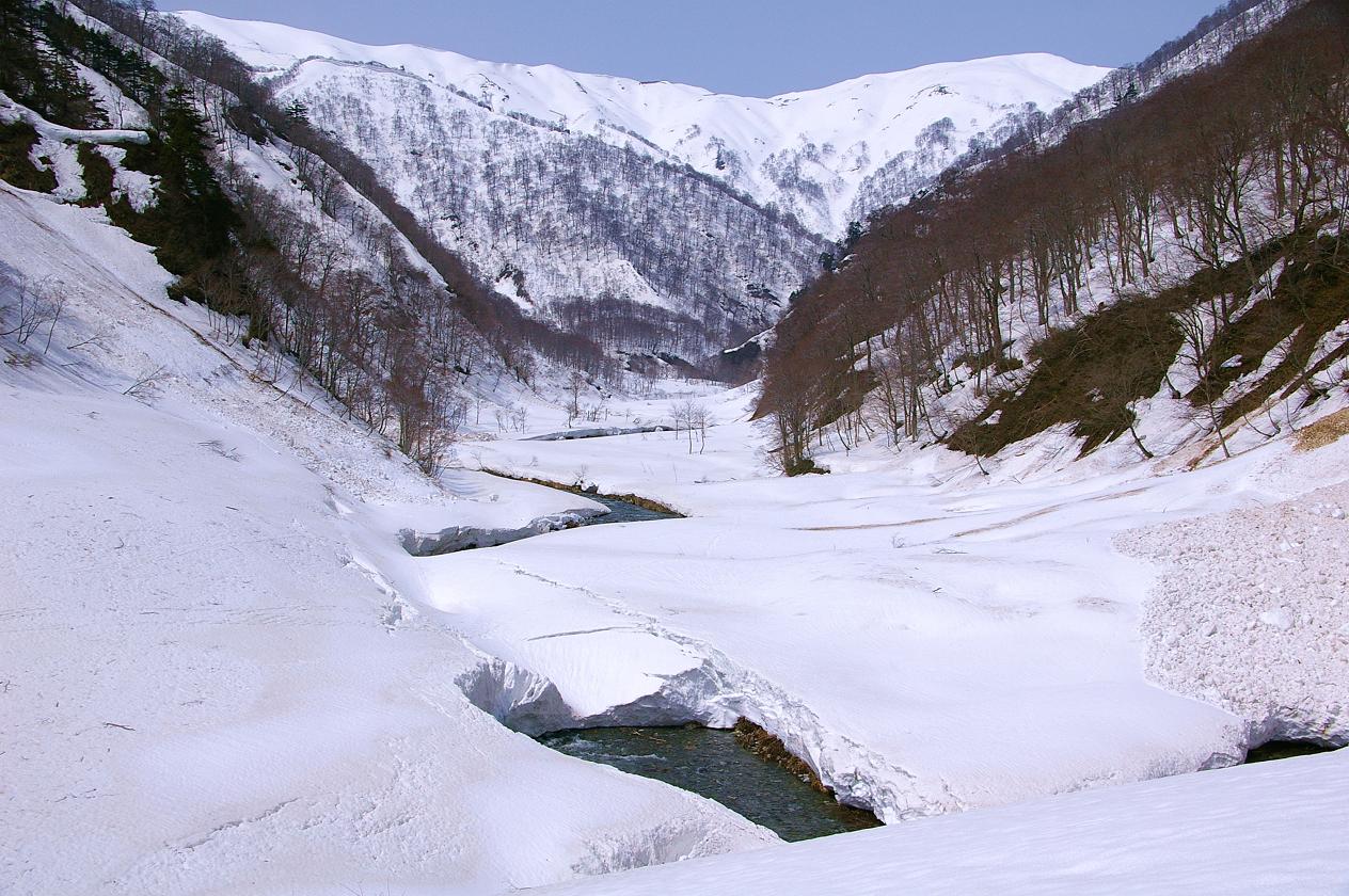 b0062024_7213699.jpg