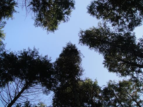 f0088731_15254152.jpg