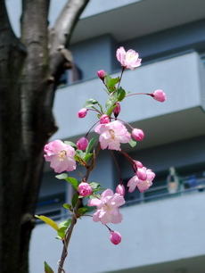 f0165831_12472317.jpg