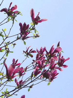 f0165831_12485975.jpg