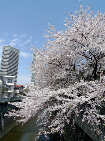f0165831_12495888.jpg