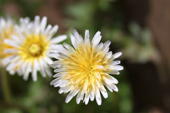 e0044635_2114394.jpg