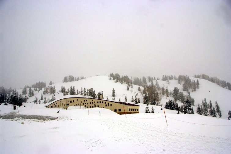 b0075541_1743114.jpg