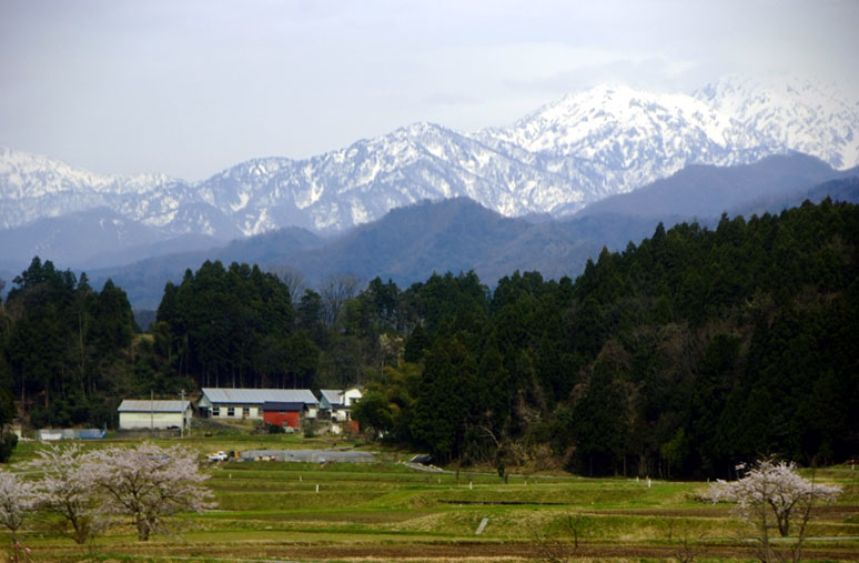 b0075541_7241576.jpg