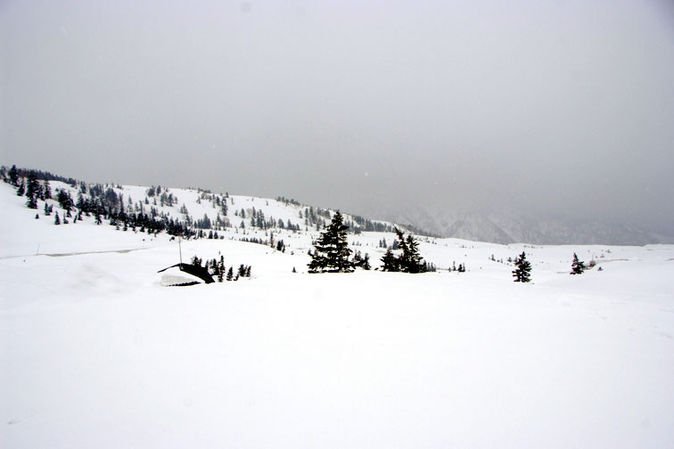 b0075541_931178.jpg