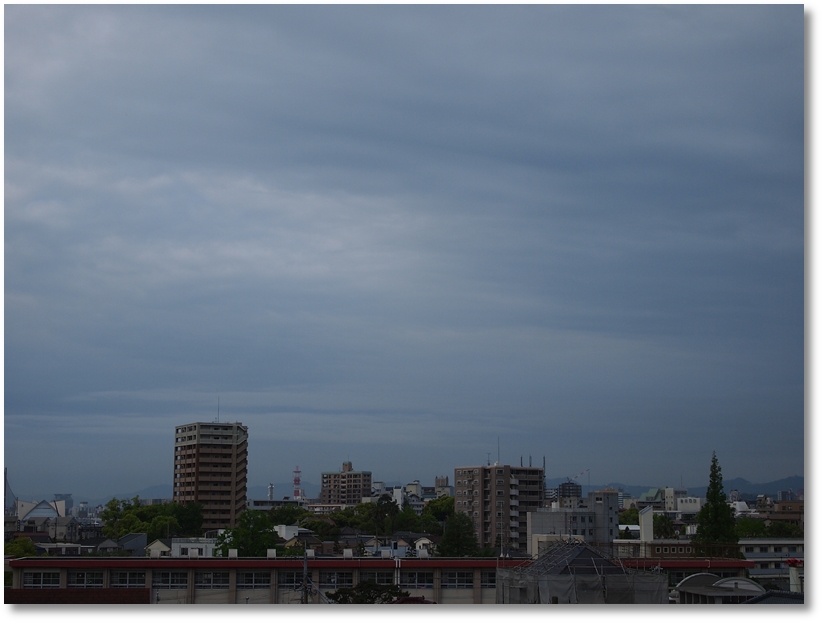 a0146442_891937.jpg