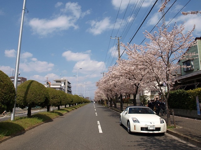 a0106043_11379100.jpg