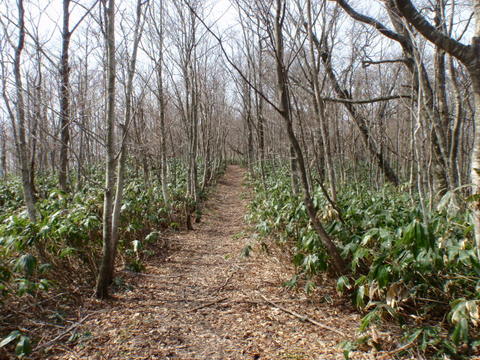 b0168843_18434034.jpg