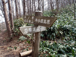 b0168843_18435037.jpg