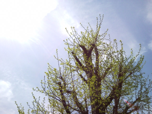 e0150843_1845113.jpg