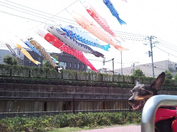 e0150843_1850144.jpg