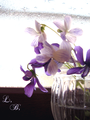 e0196543_226209.gif