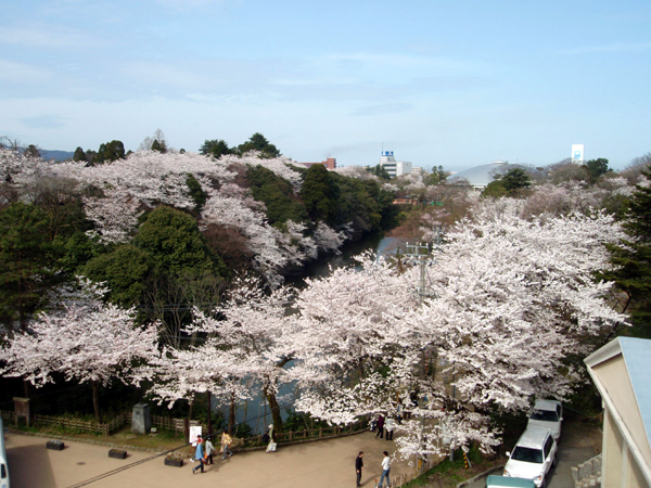 b0137346_14541245.jpg