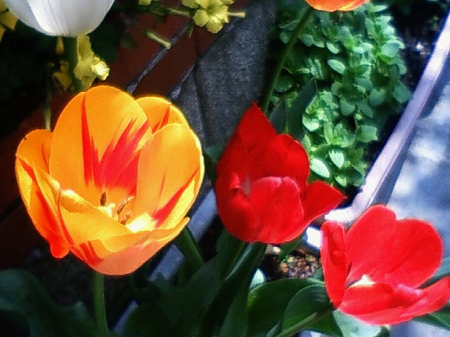 f0179947_2316111.jpg