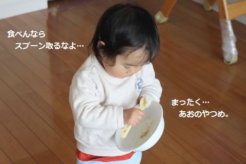 a0090451_014794.jpg