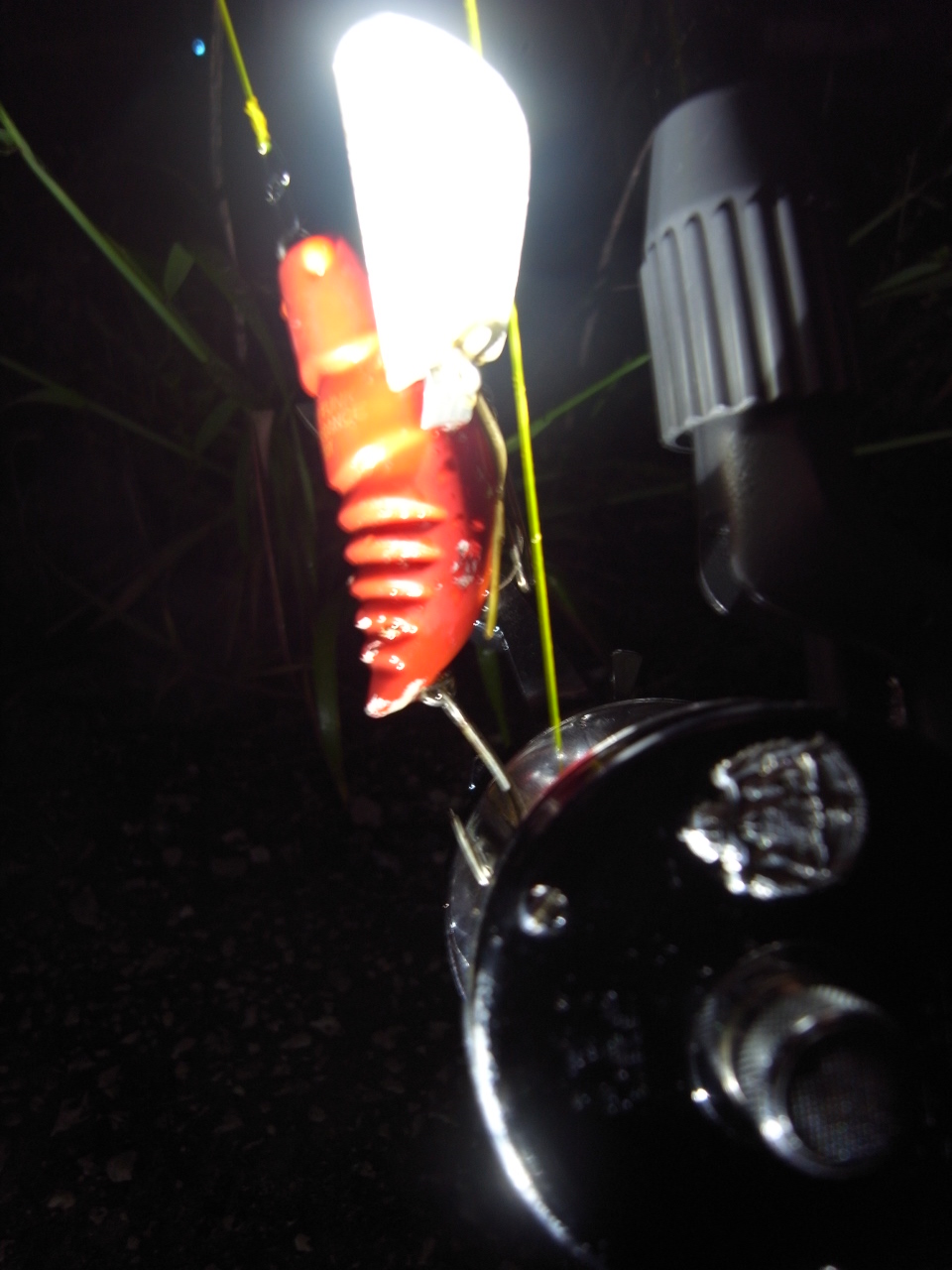 c0153951_0132938.jpg