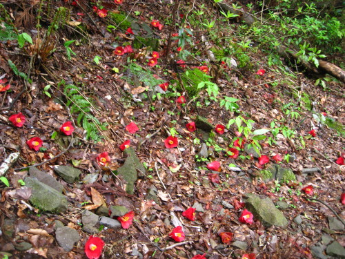 c0179351_19242833.jpg
