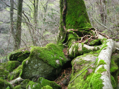 c0179351_19265179.jpg