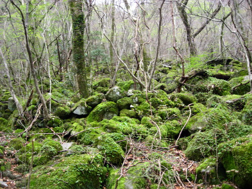 c0179351_19344665.jpg