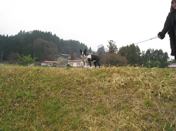 f0095152_12313150.jpg
