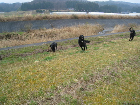 f0095152_1231892.jpg
