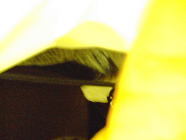 e0010856_11413973.jpg