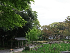 d0054461_1823597.jpg