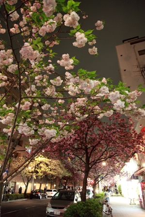 b0091164_21122011.jpg