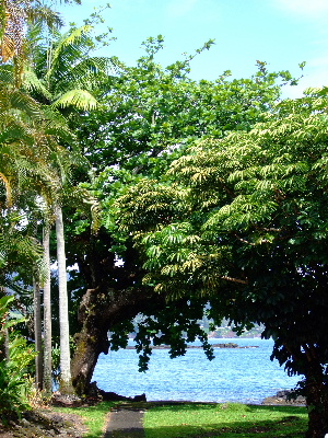 d0102664_22555172.jpg