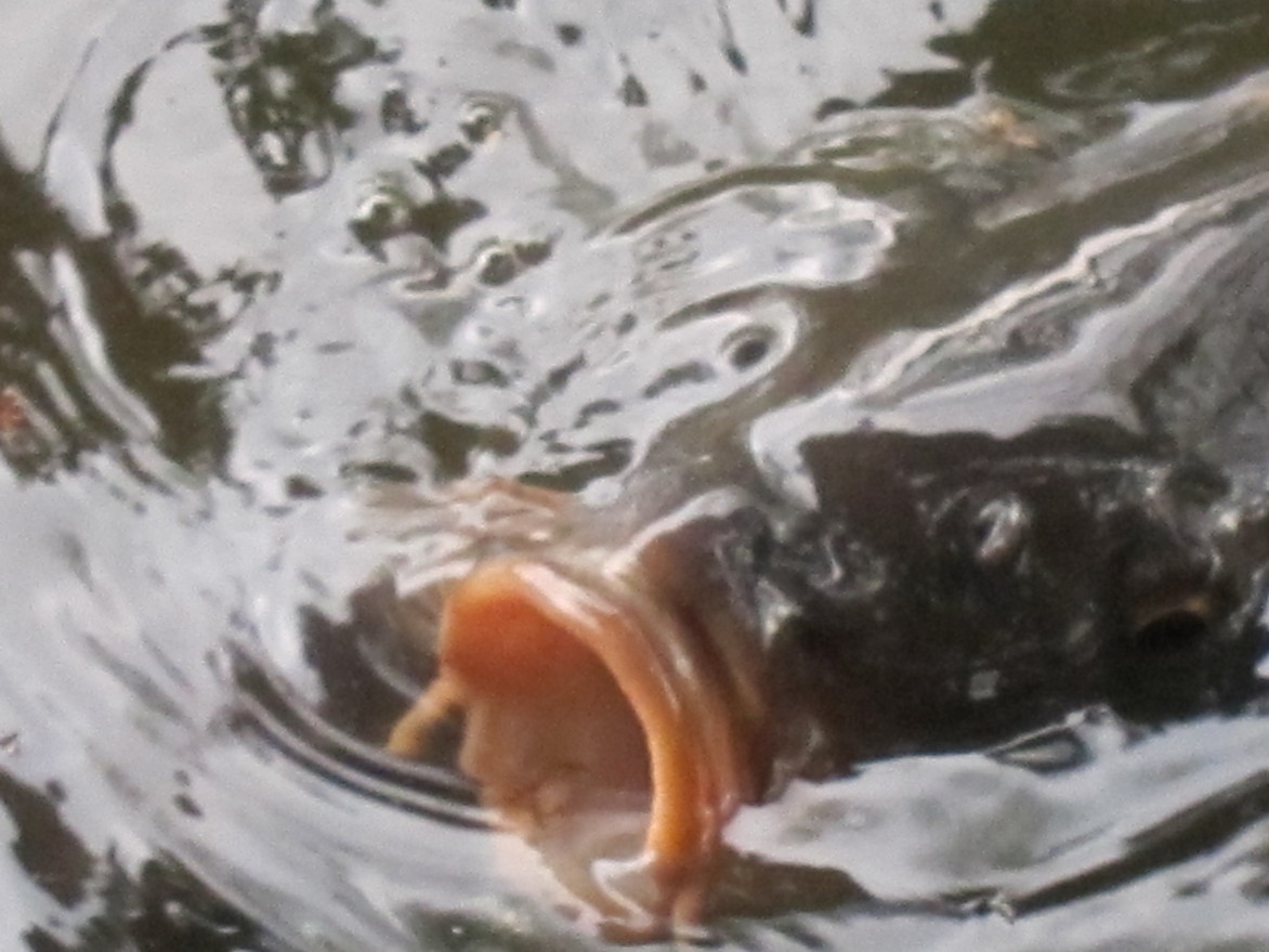 a0160466_1839101.jpg