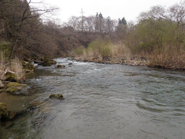 b0120066_1450885.jpg