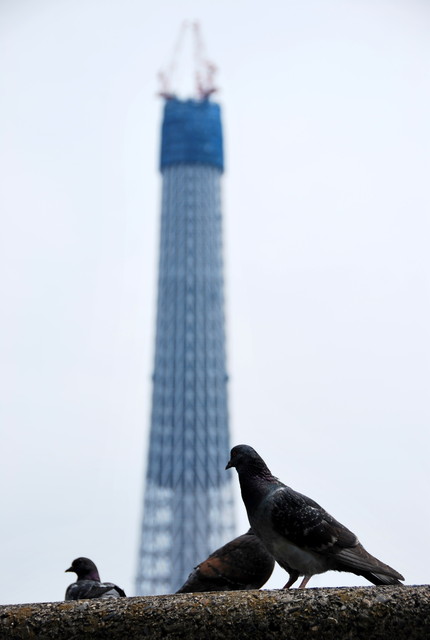 b0174068_132439.jpg