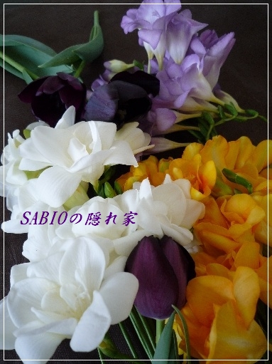 e0177271_6353195.jpg