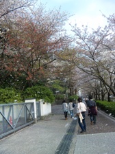 c0102375_1365690.jpg