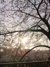 c0102375_139989.jpg