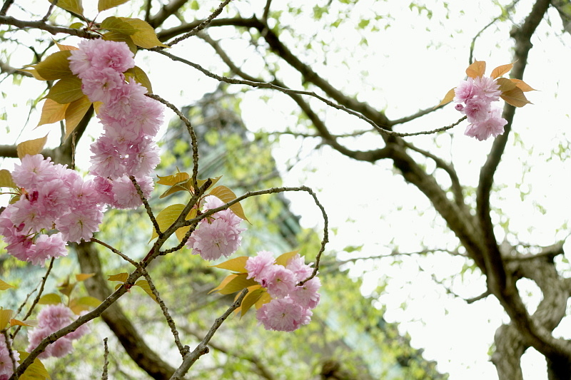 c0106977_2112272.jpg