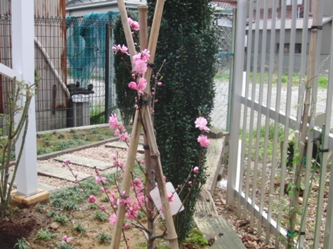 c0163878_1842657.jpg