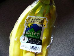 c0072379_2113379.jpg