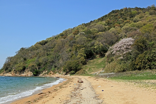 e0190885_2132461.jpg