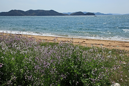 e0190885_2143839.jpg
