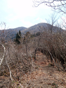 c0018489_22531438.jpg