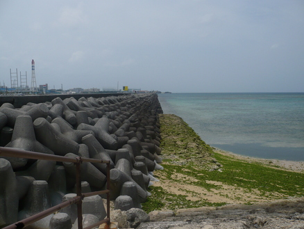 d0154691_12245741.jpg