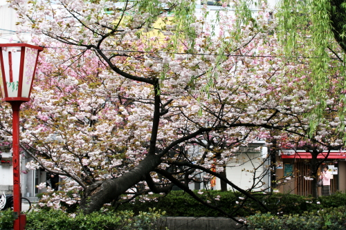 f0093592_16103438.jpg